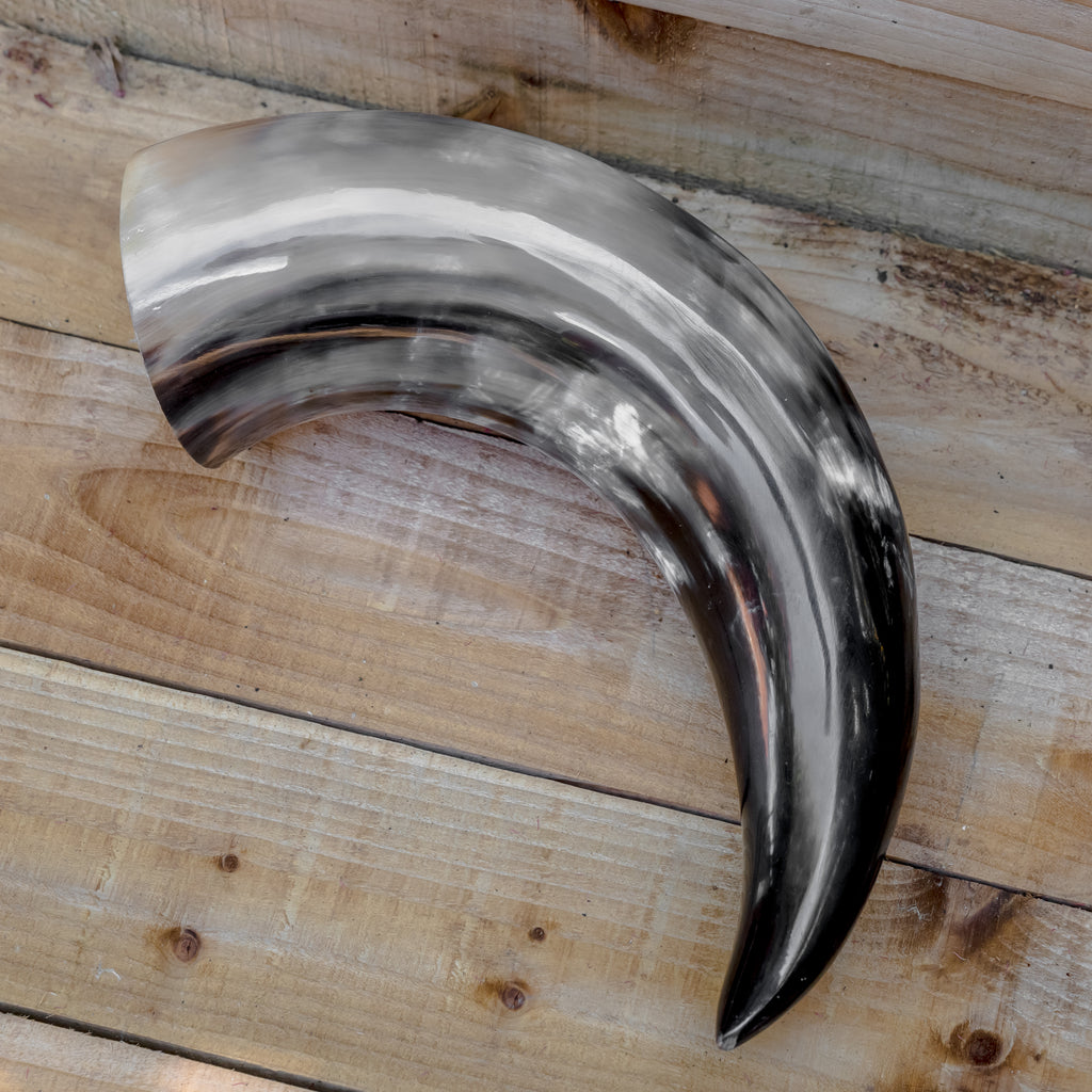 skullvikings viking norse larp larping game of thrones regular polished hand made natural viking drinking horn uk